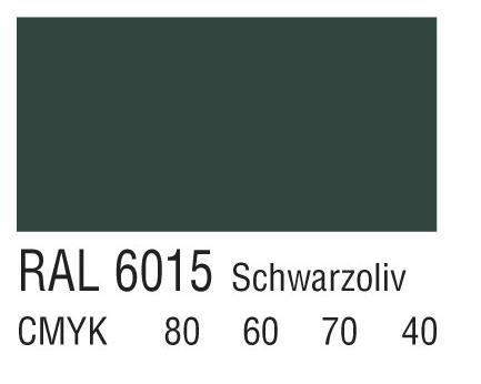 RAL 6015黑齊墩果色